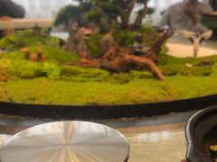 -豫丰汇河南名菜楼(武记餐饮)