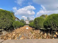 -四川大学(华西校区)