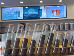 -雾与山茶(大禹城店)