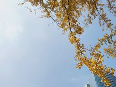 -百林公园-两江幸福广场