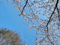 -永乐路-路侧停车场