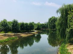 -东郊湿地公园