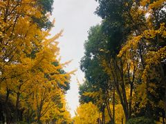 -陕西师范大学(雁塔校区)