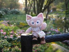 -上海共青森林公园
