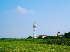 -上海吴淞炮台湾国家湿地公园