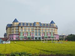 -百万葵园