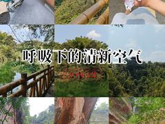 -沐川竹海旅游景区