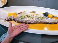 酒酿火片蒸白鱼-江南雅厨(李公堤店)