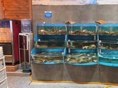 -蓝珊海鲜澳洲和牛自助餐厅
