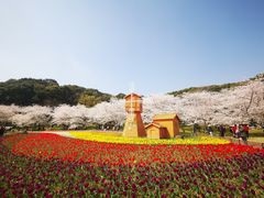 -苏州上方山国家森林公园