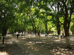 -山东大学(趵突泉校区)