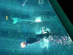 -福州罗源湾海洋世界旅游区