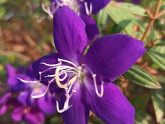 -三餐乐(执信南路店)