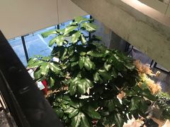 -大树餐厅(红旗街万达店)