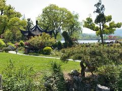 -杭州西湖柳莺里酒店·闻莺厅