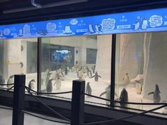 -大连圣亚海洋世界