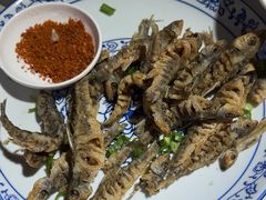 -高坎一品甲鱼庄(两河店)