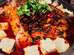 -师烤·豆花烤鱼(广州荔湾扬韬广场店)