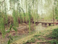 -群力丁香公园
