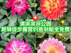 -渭滨公园