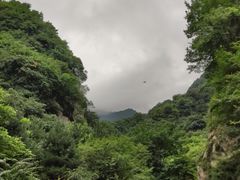 -终南山国家森林公园