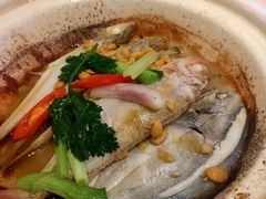 砂锅杂鱼煲-锦粤宫·精致粤菜(深圳北站店)