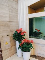 -武汉五洲整形外科医院