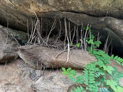-黑龙潭风景区