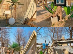 -安德鲁户外烧烤帐篷营地(马泉营店)