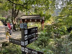 -塔川景区