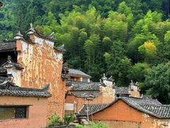 -杨家堂村