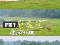 -北京麋鹿生态实验中心