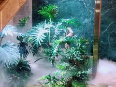 景观位-宴周康·精致江浙菜(周浦店)