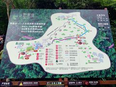 -西双版纳原始森林公园
