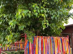 -崇圣寺三塔文化旅游区