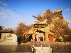 -大槐树寻根祭祖园