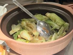 啫啫生菜煲-陶陶居酒家(解放北路店)