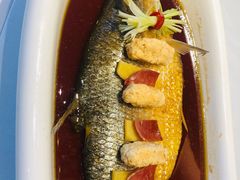 醉鲥鱼-龙吟九品(青龙山庄店)