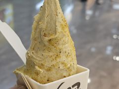 -野人先生现做冰淇淋(西安赛格店)