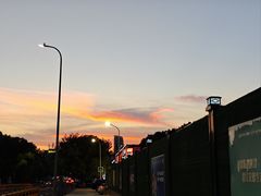 -三里屯土灶炖公鸡地锅鸡(江东店)