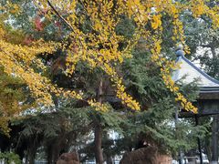 -辽宁大学(崇山校区)