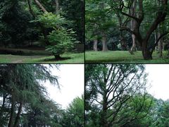 -杭州植物园