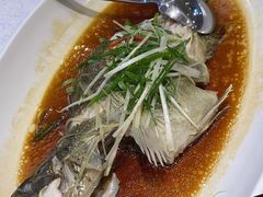 -顺德佬华侨城店·商务宴请·团建
