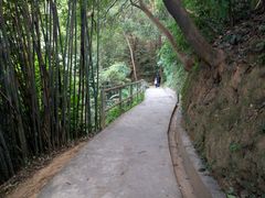 -广州市帽峰山景区
