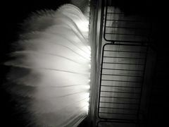 android_upload_pic-东港音乐喷泉广场