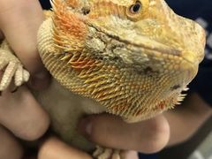 -爱诺耐芙动物医院(万博店)