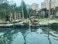 -上海野生动物园
