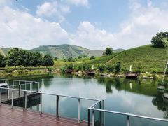 -帐篷客·溪龙茶谷度假酒店