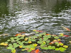 -口岸雕花楼