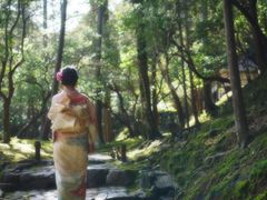 -西芳寺(苔寺)